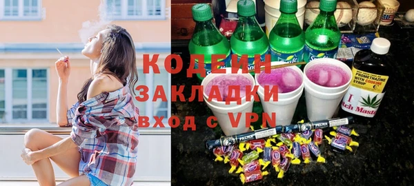 хмурый Алексин