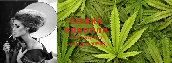 бошки Алзамай
