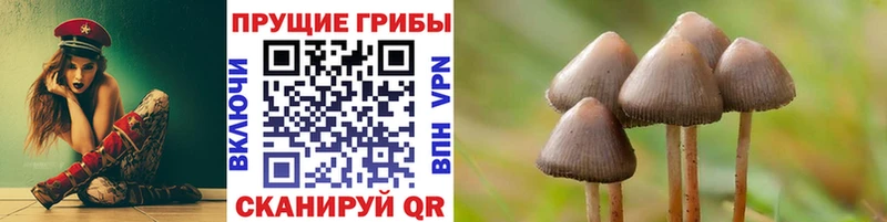 Галлюциногенные грибы мицелий  Касимов 
